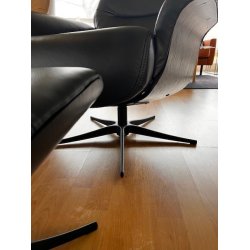 Top-Line Baron med skammel