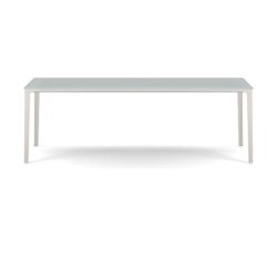 Plate Dining Table | 100 x 220