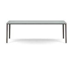 Plate Dining Table | 100 x 220