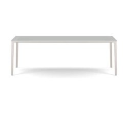 Plate Dining Table | 100 x 220