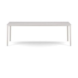 Plate Dining Table | 100 x 220