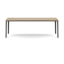 Plate Dining Table | 100 x 220