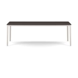 Plate Dining Table | 100 x 220