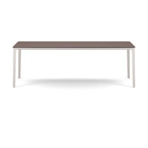 Plate Dining Table | 100 x 220
