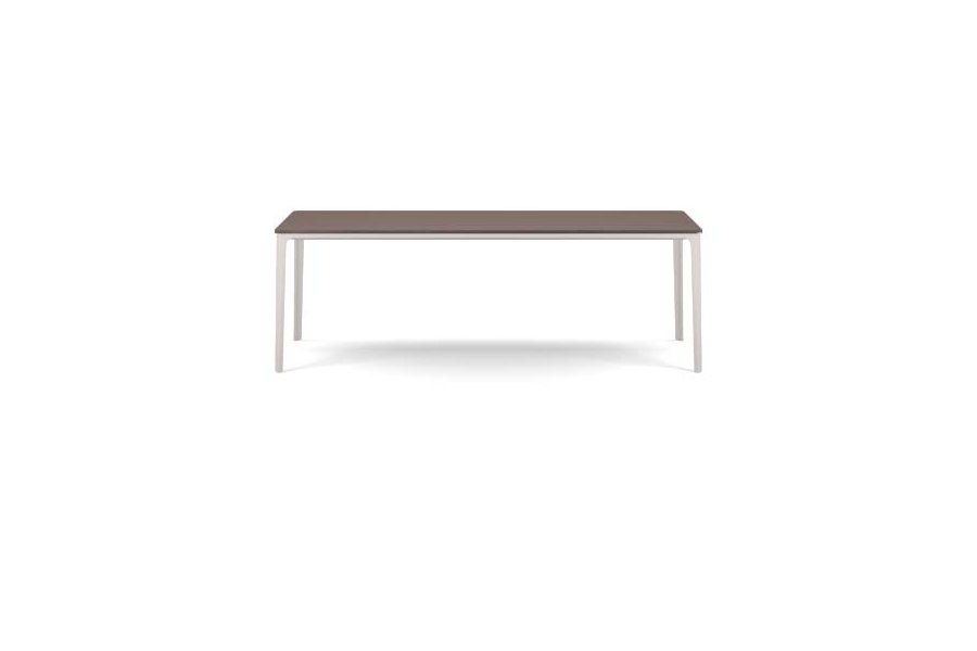 Plate Dining Table | 100 x 220