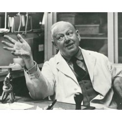 Kay Bojesen Flodhest i eg